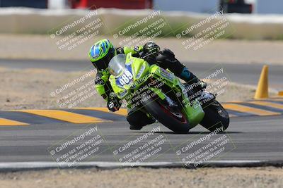 media/Mar-12-2023-SoCal Trackdays (Sun) [[d4c8249724]]/Turn 2 (1130am)/